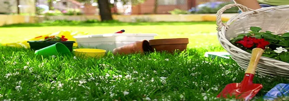 Industrial gardening and landscaping crew maintaining plant grounds